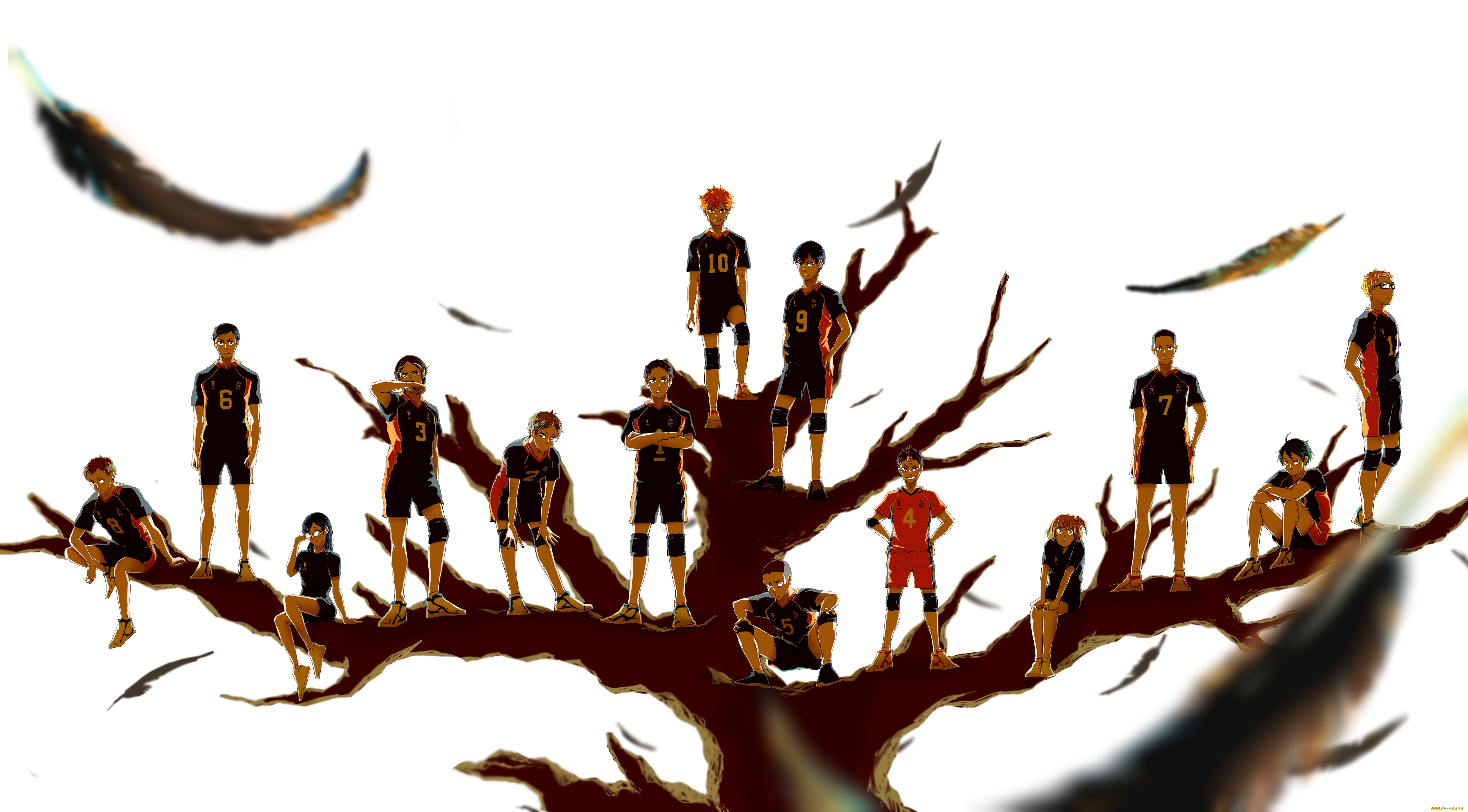 , haikyuu, 